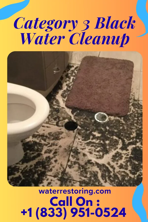 Category 3 Black Water Cleanup in Augusta, AR