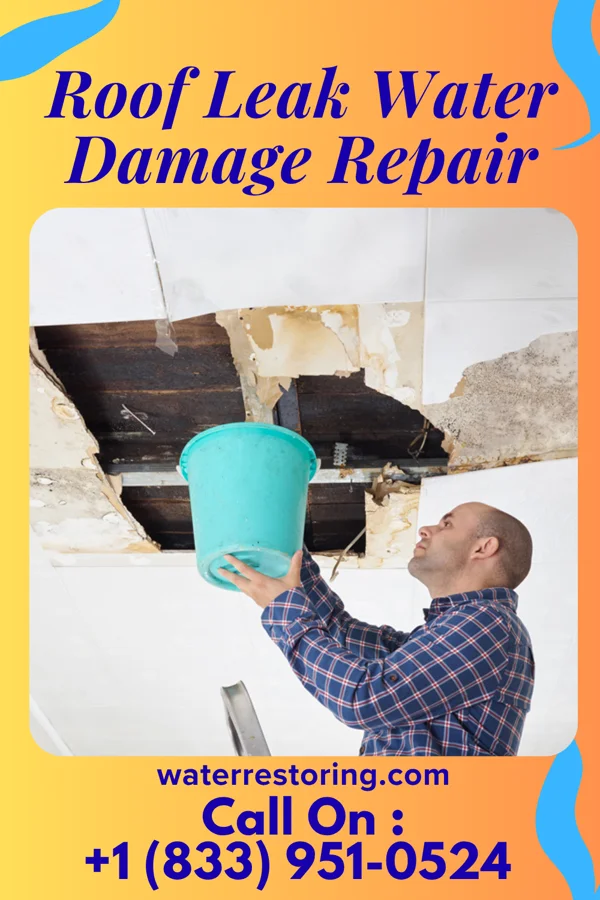 Roof Leak Water Damage Repair in Augusta, AR